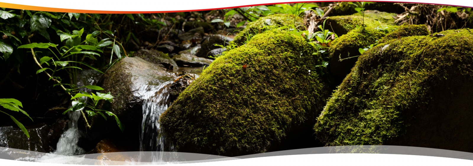 Sustentabilidade